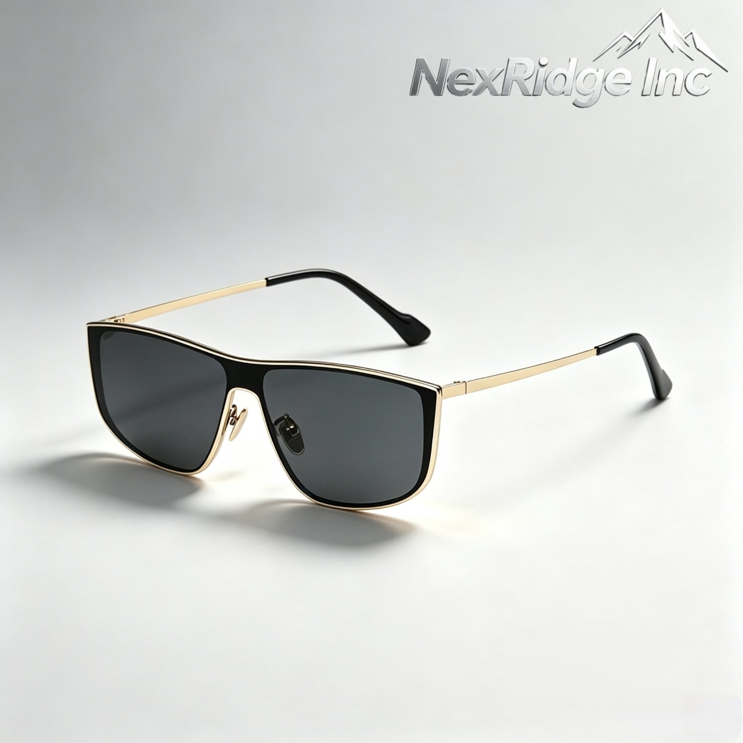 NRI-260710 product image 1