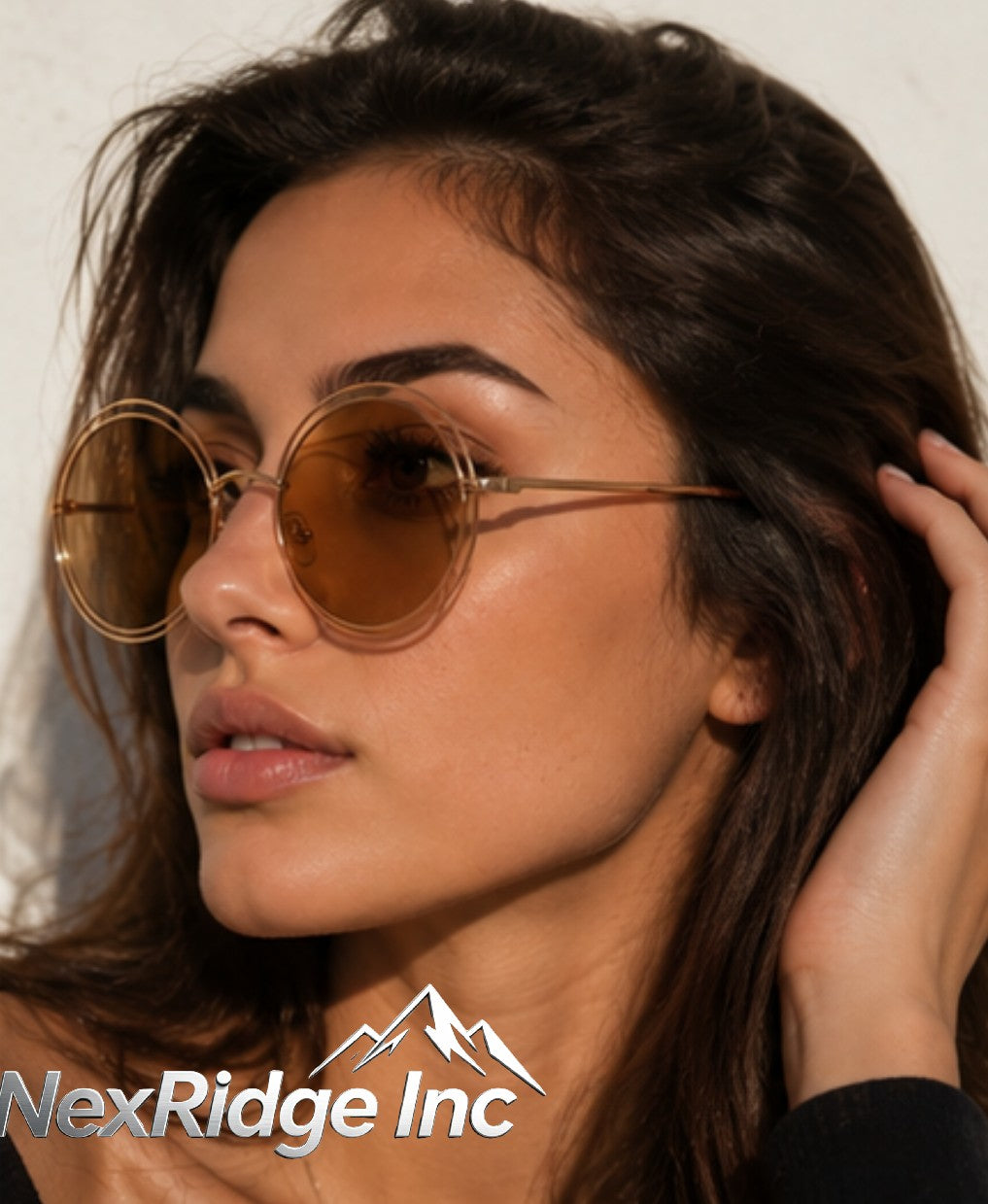 NRI-260717 product image 4